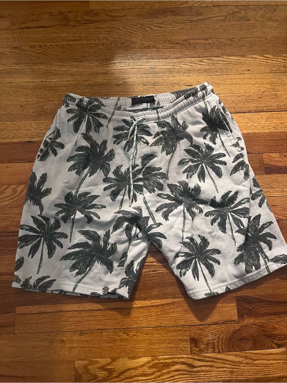Men’s public records palm tree gym shorts